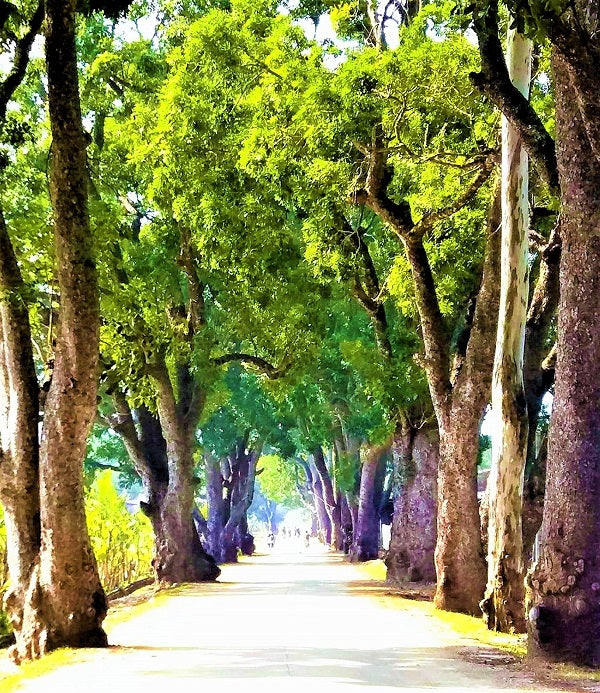 Giới Thiệu  Triệu Sơn- Vùng đất của mỏ cromit và di tích lịch sử