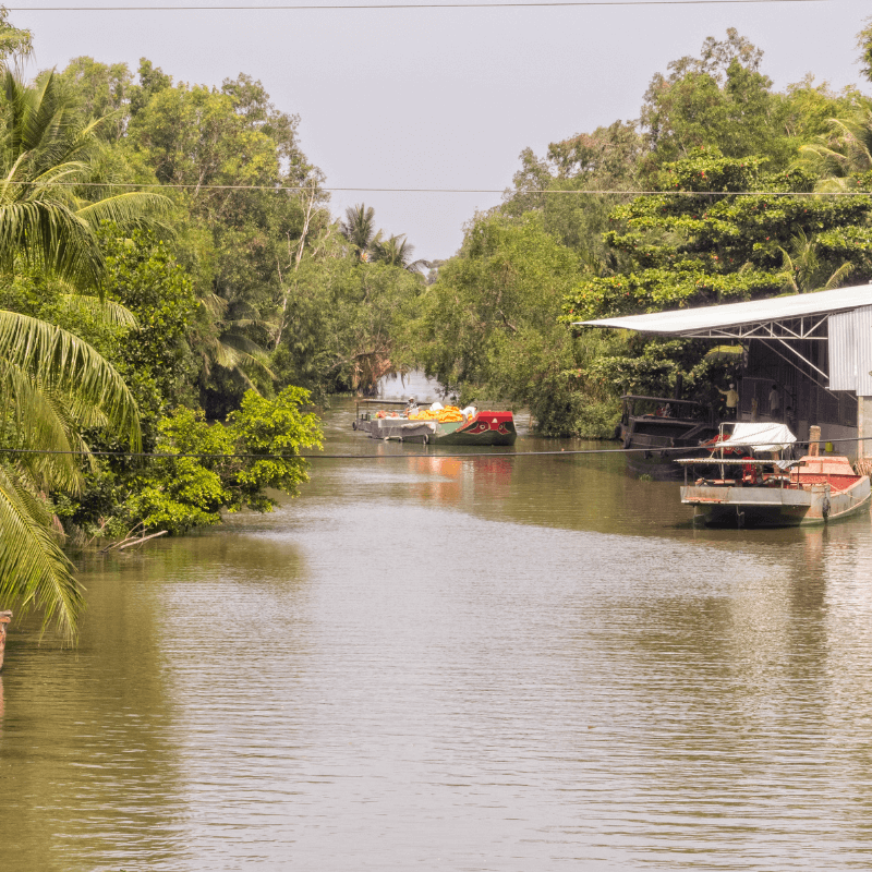 Trà Vinh: Điểm Đến Văn Hóa và Du Lịch Độc Đáo Của Miền Tây