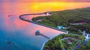 Cà Mau: Khám Phá Vùng Đất Cuối Trời Tổ Quốc