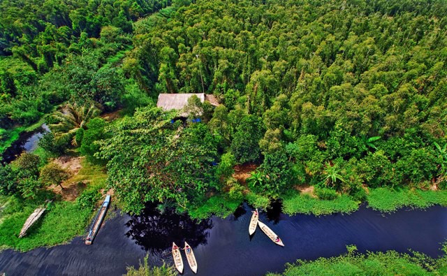 Giới Thiệu  U Minh	- Vùng đất ngập mặn kỳ diệu của miền Tây