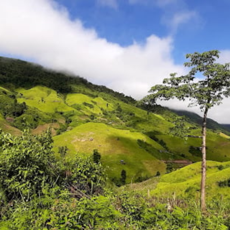 Các Chi Phí Khi Đi Đến Điểm Tham Quan Khu Bảo Tồn Thiên Nhiên Mường Nhé