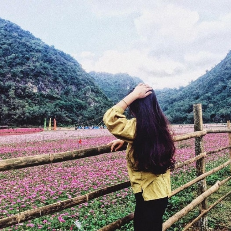 Các Địa Điểm Nổi Tiếng Gần Thung Lũng Hoa Bắc Sơn (Ăn Gì? Chơi Gì?)
