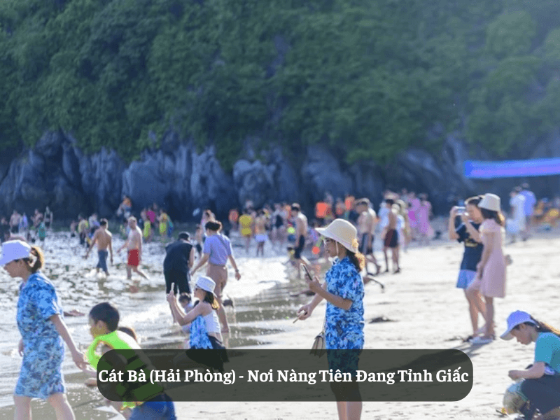 Du Lịch Miền Bắc