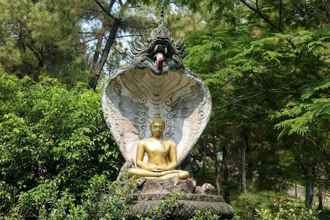 Chùa thiền lâm - theravada Huế