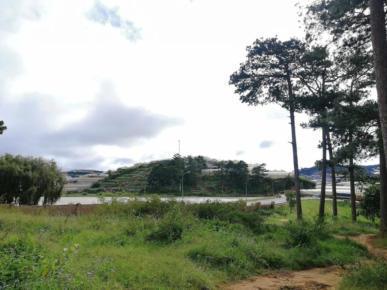 Đồi Thông Hai Mộ Đà Lạt