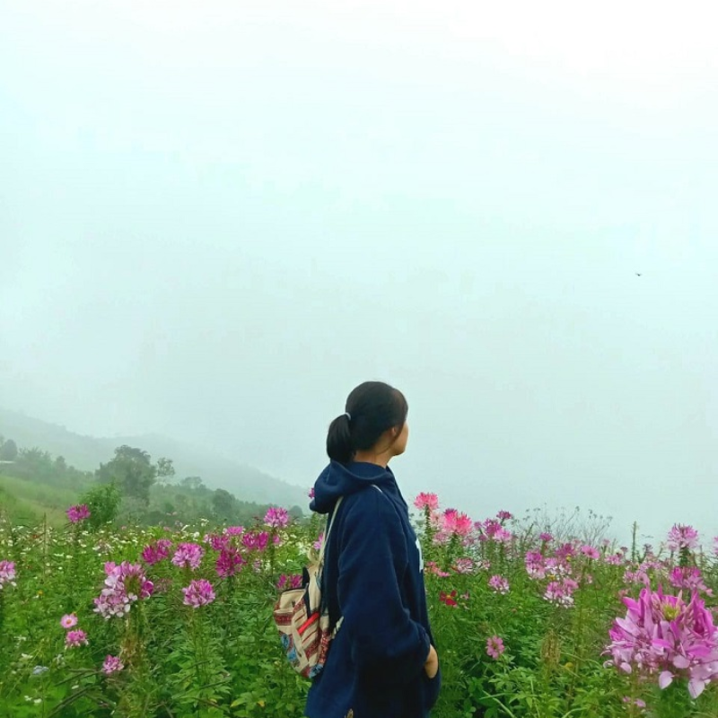 Đỉnh Mù Là