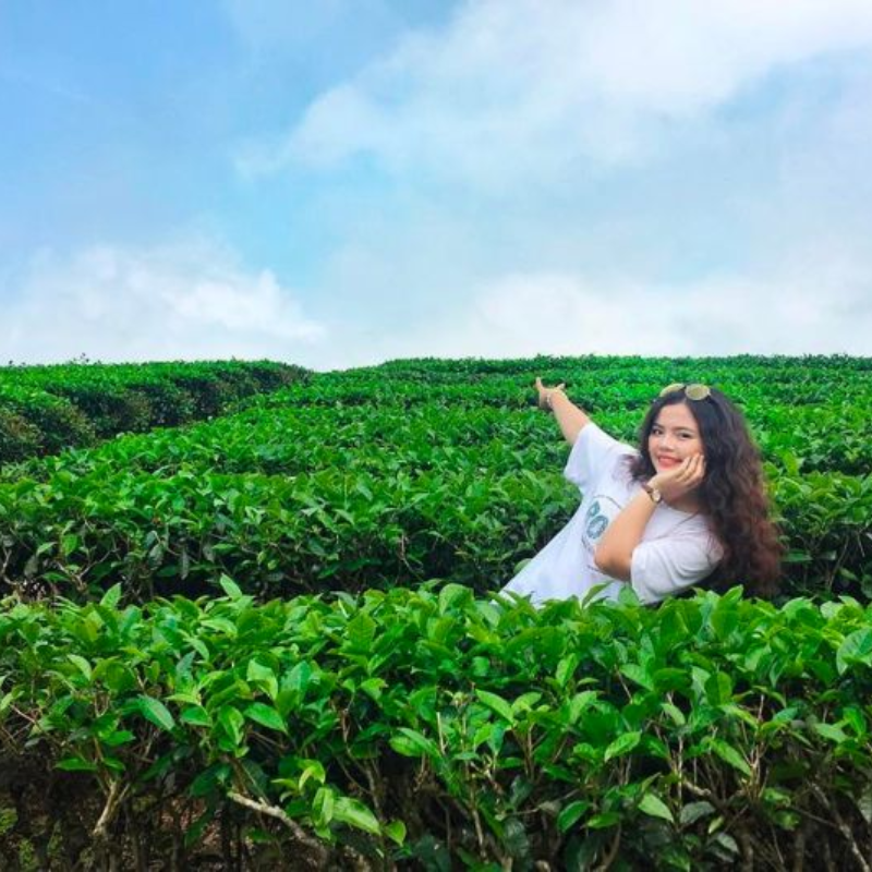 FAQ Về Đồi chè Thanh Chương?