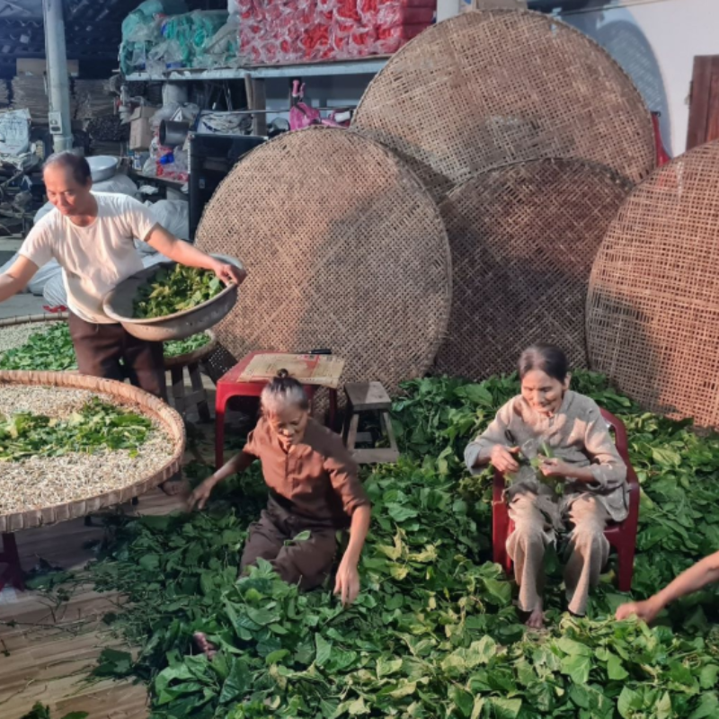 FAQ Về Làng nghề tơ lụa Mã Châu ?