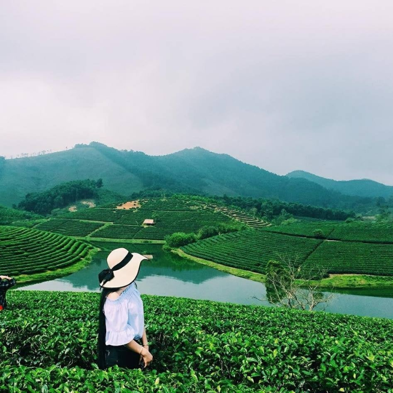 Giới Thiệu Đồi chè Thanh Chương, Đồi chè Thanh Chương ở đâu?