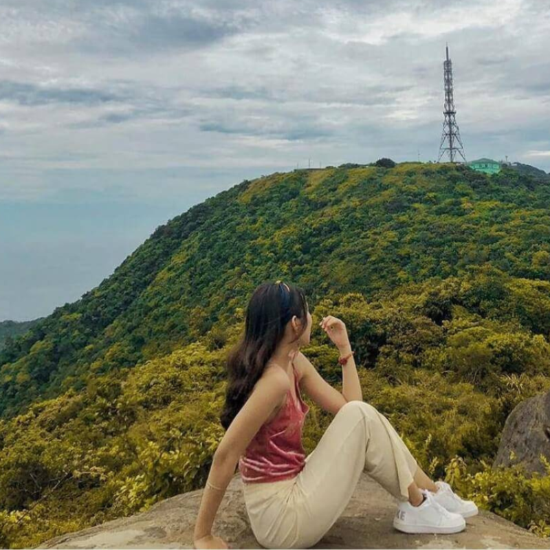Bán Đảo Sơn Trà: Miền Xanh Vô Giá Của Đà Nẵng Chờ Bạn Khám Phá