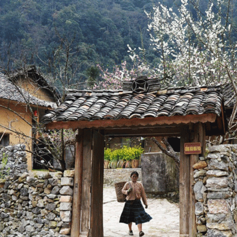 Giới Thiệu Làng Văn Hóa Lũng Cẩm và Vị Trí