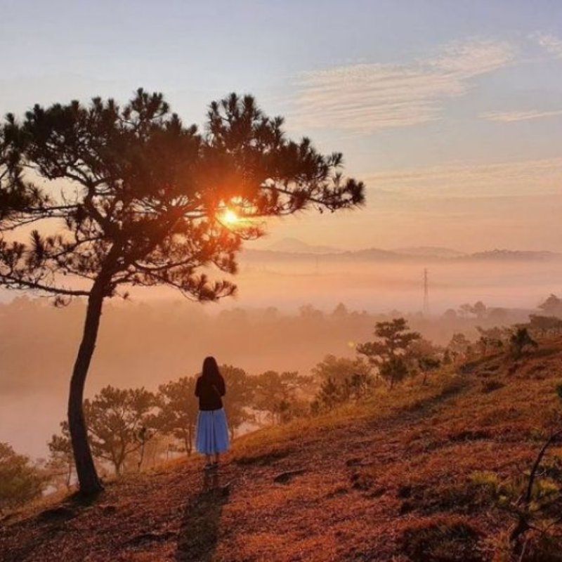 Giới Thiệu Bản Nà Luồng: Nét Đẹp Nguyên Sơ Hút Hồn Du Khách