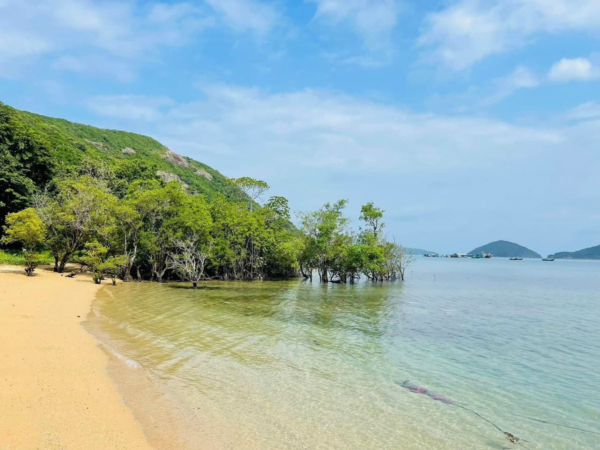 Hòn Ông (Đảo Cá Voi)