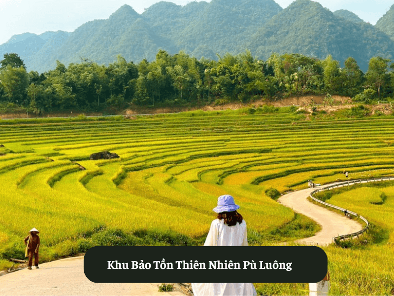 Khu Bảo Tồn Thiên Nhiên Pù Luông