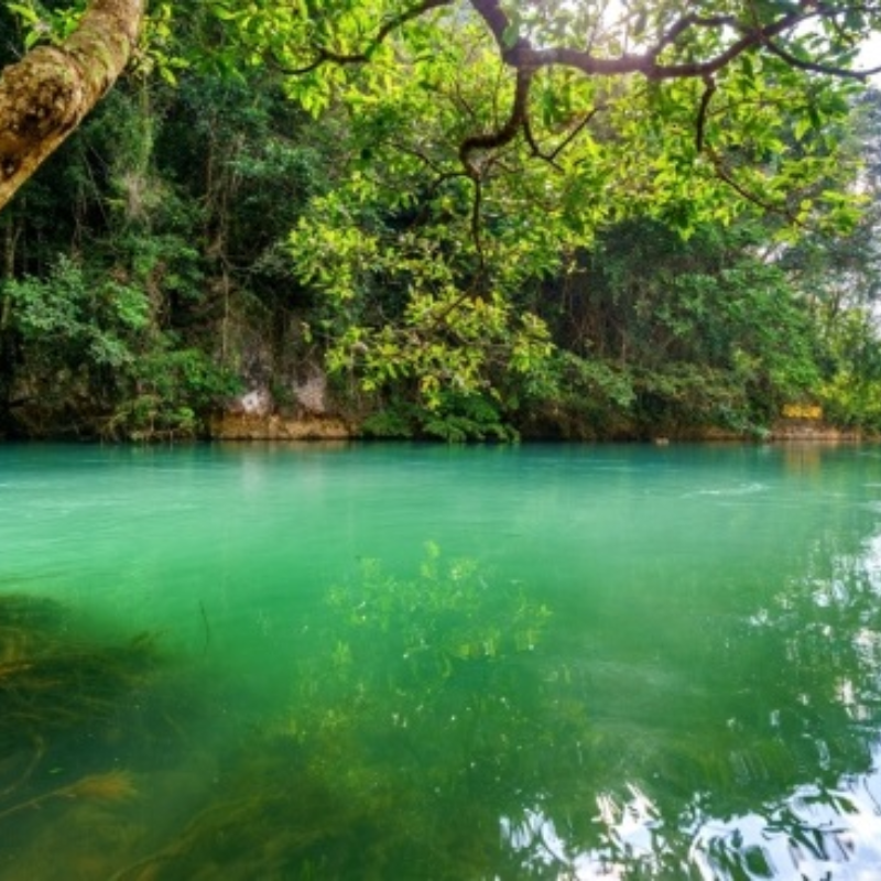 Khu Bảo tồn thiên nhiên Mường Nhé