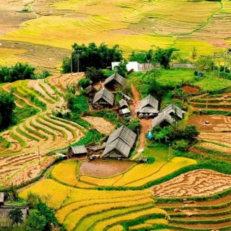 Kinh Nghiệm Khi Tham Quan Bản Lao Chải - Tả Van – Kinh nghiệm du lịch Lao Chải Tả Van Chi Tiết