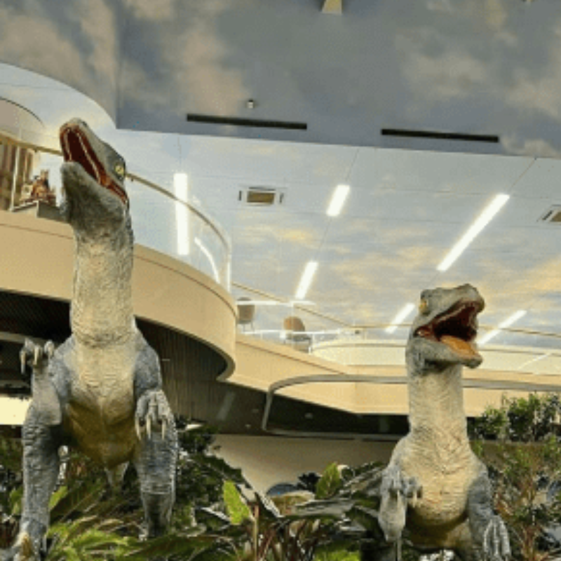 Kinh Nghiệm Khi Tham Quan Công Viên Khủng Long (Dino Park)