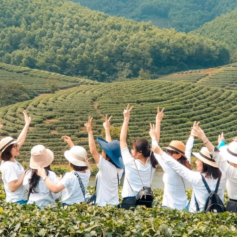 Chơi gì ở đồi chè Thanh Chương?