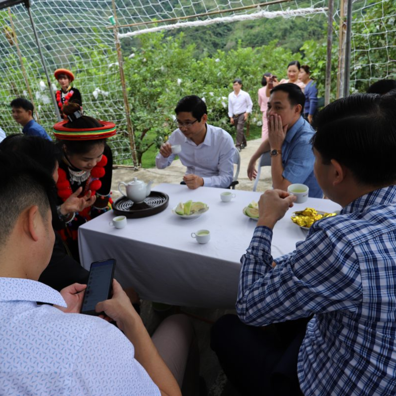 Kinh Nghiệm Du Lịch Đồi Chè Phiêng An - Để Chuyến Đi Thêm Trọn Vẹn