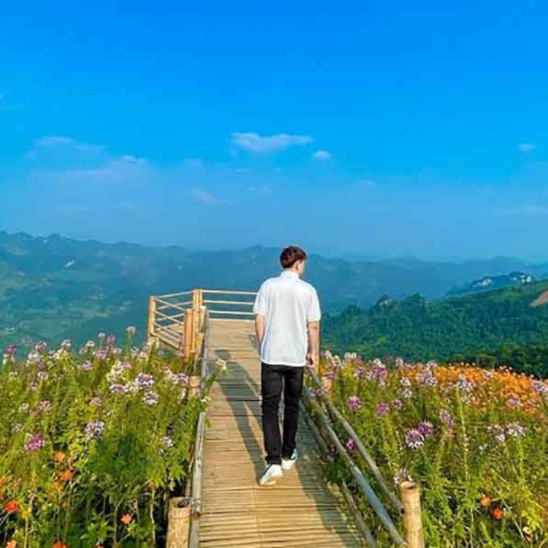 Lịch Sử Hình Thành Đỉnh Mù Là