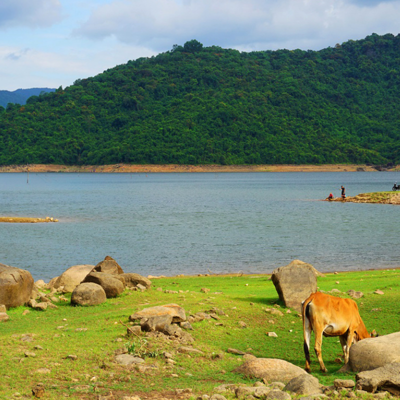 Nên đi Hồ Núi Một vào mùa nào đẹp nhất