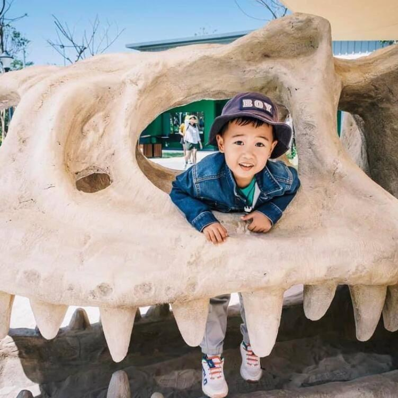 Lịch Sử Hình Thành Công Viên Khủng Long (Dino Park)