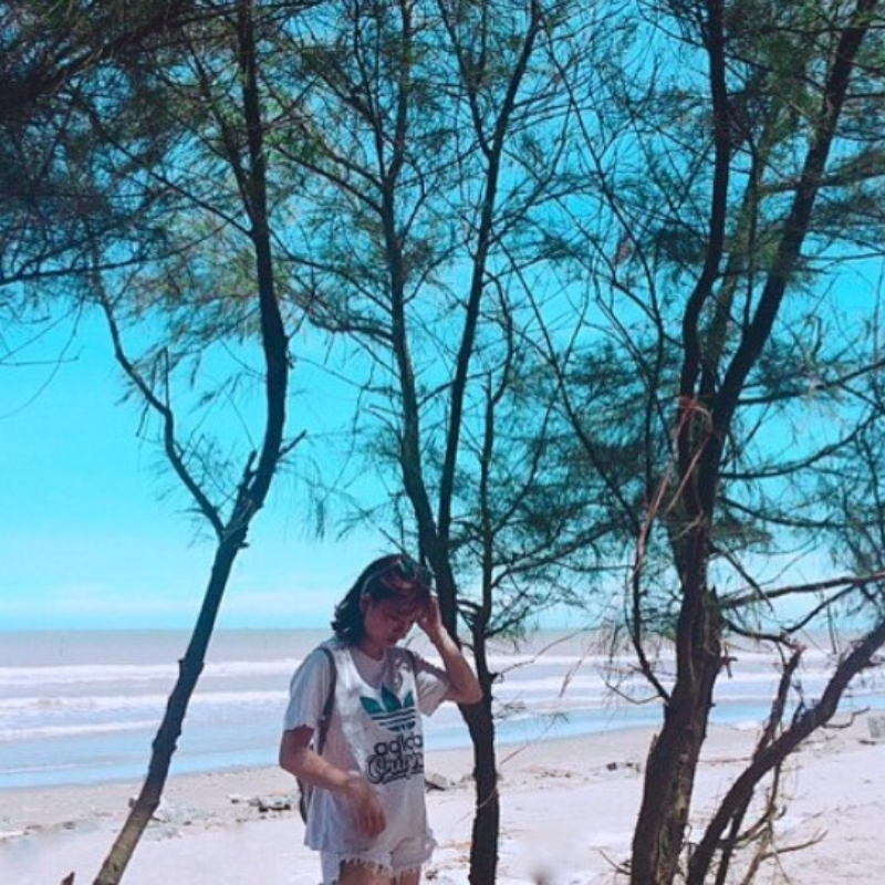 Lịch Sử Hình Thành Bãi Biển Cồn Vành