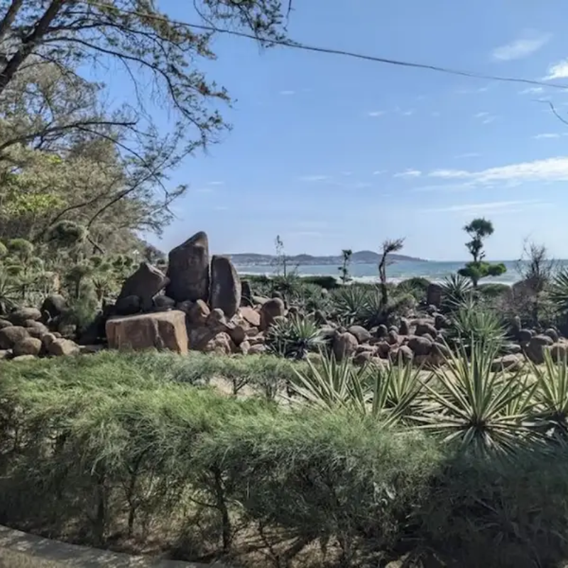 Lịch Sử Hình Thành Công Viên Đồi Dương