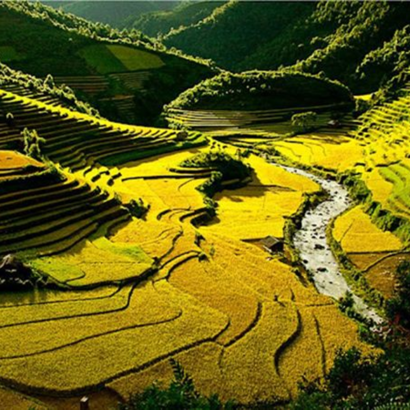 Lịch Sử Hình Thành Cánh Đồng Mường Lò: Chứng Nhân Của Vùng Đất Nghĩa Tình