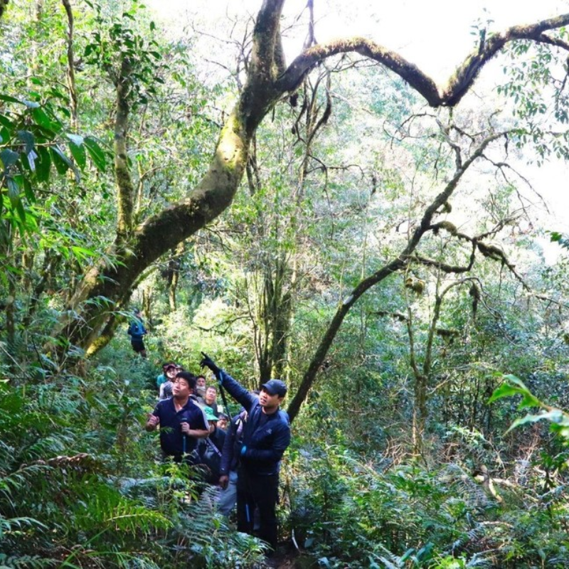 Lịch sử đỉnh Pu Ta Leng