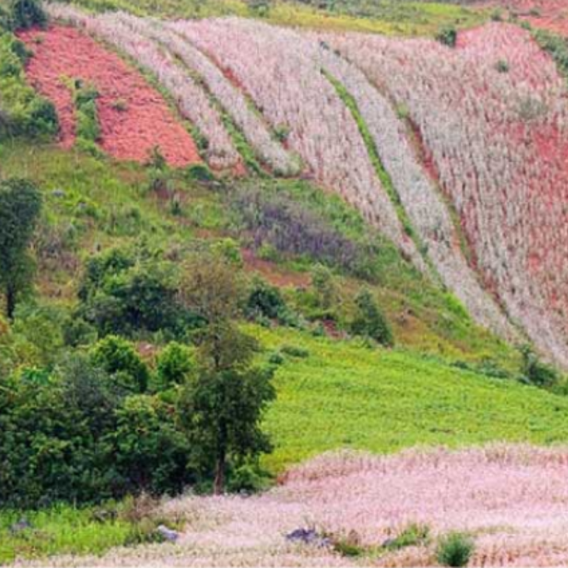 Lịch Sử Thung lũng Sủng Là - Dấu Ấn Thời Gian Trên Vùng Đất Biên Cương