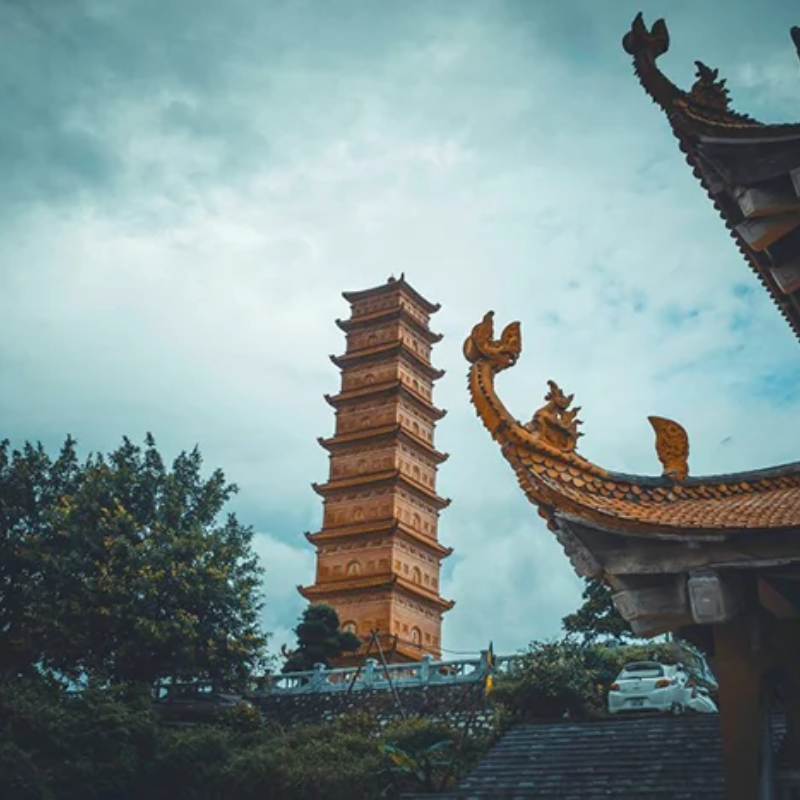 Local Trips .ORG Chuyên Cung Cấp Thông Tin Tìm Kiếm, Địa Điểm Tham Quan Tại Tháp Tường Long: Người Bạn Đồng Hành Tin Cậy
