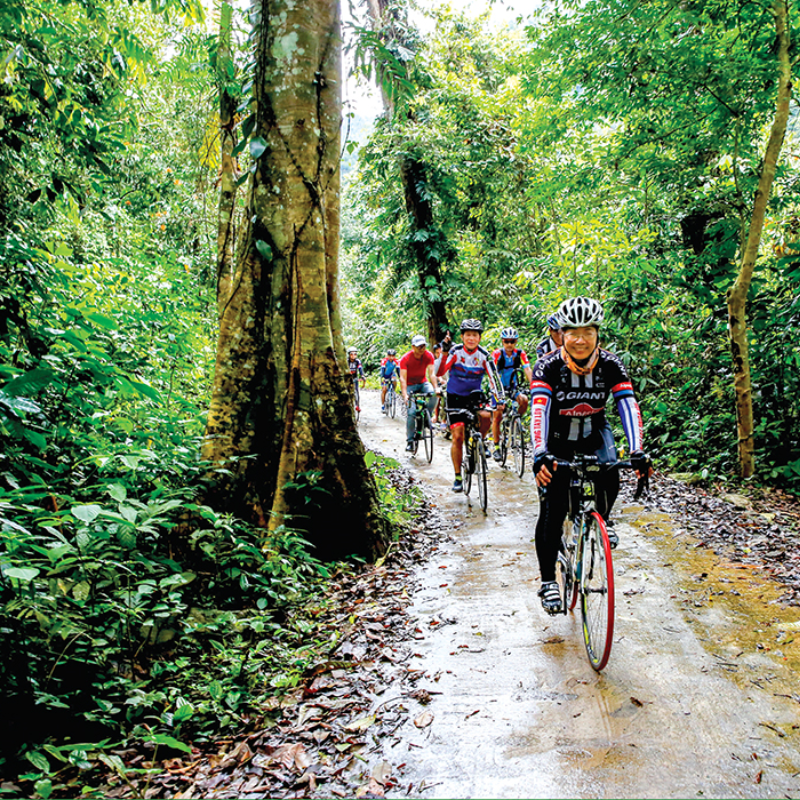 LocalTrips.ORG Chuyên Cung Cấp Thông Tin Tìm Kiếm, Địa Điểm Tham Quan Tại Vườn Quốc Gia Xuân Sơn