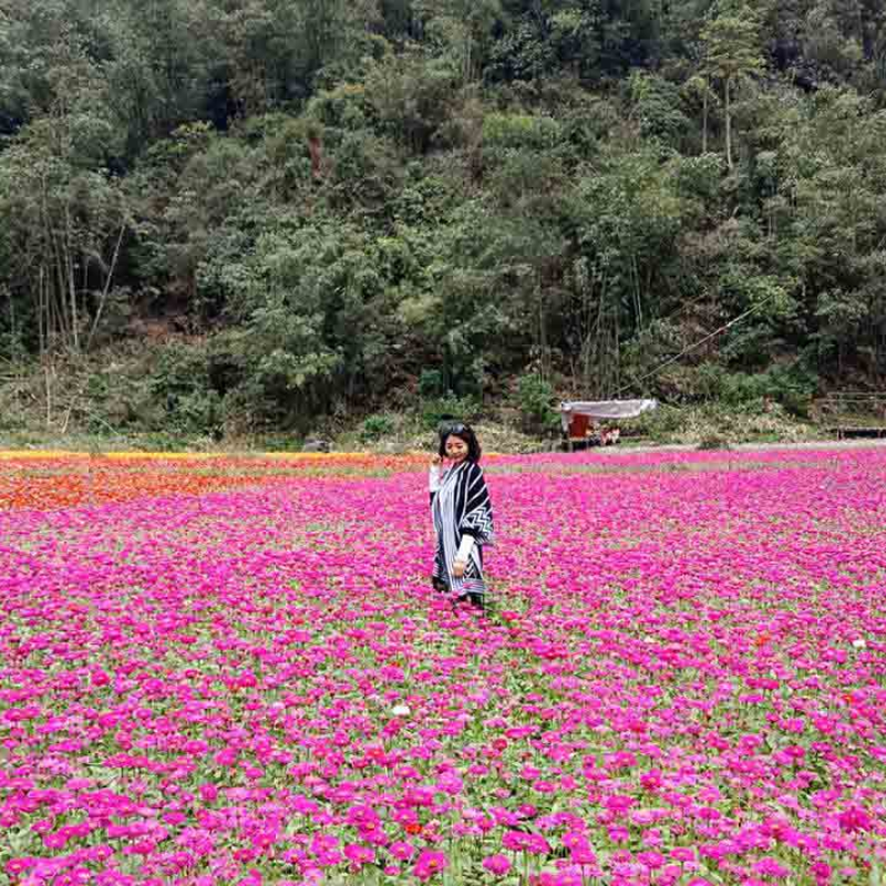 Local Trips.ORG Chuyên Cung Cấp Thông Tin Tìm Kiếm, Địa Điểm Tham Quan Tại Thung Lũng Hoa Bắc Sơn