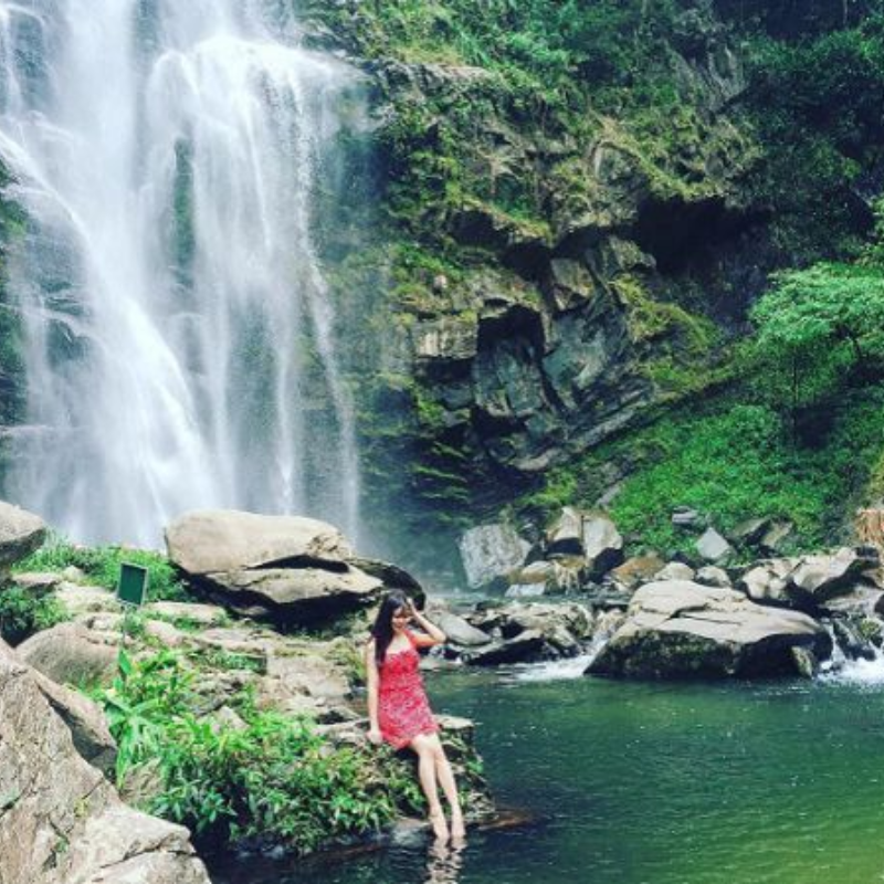 LocalTrips.ORG Chuyên Cung Cấp Thông Tin Tìm Kiếm, Địa Điểm Tham Quan Tại Vườn Quốc gia Pù Mát