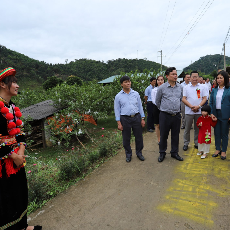 LocalTrips.ORG - Người Bạn Đồng Hành Tin Cậy