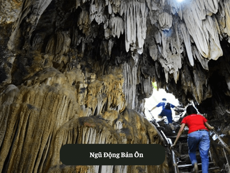 Ngũ Động Bản Ôn
