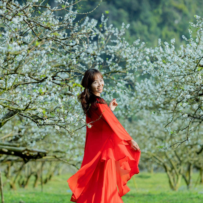 Những Ai Thường Đến Thung Lũng Mận Nà Ka Để Làm Gì?