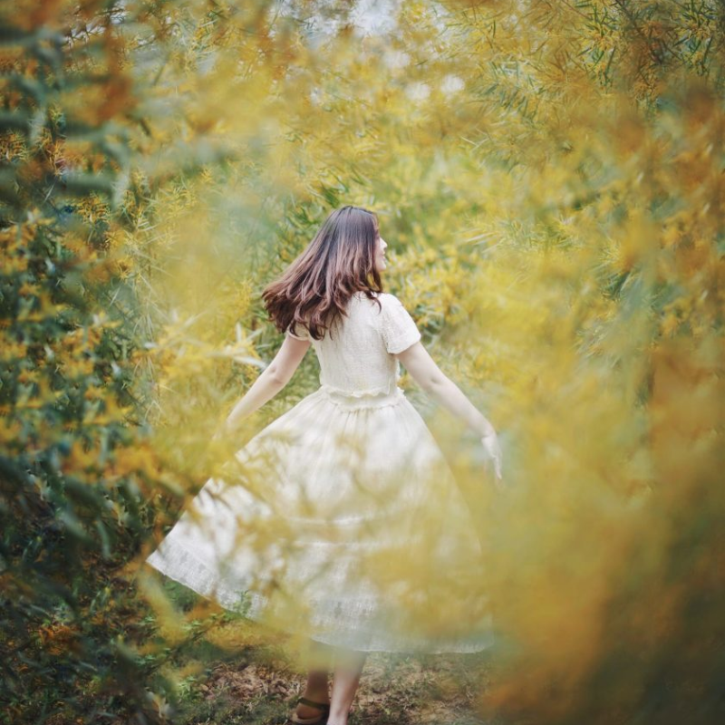 Những Ai Thường Đến Rừng Hoa Keo Lá Tràm Phan Thiết Để Làm Gì?