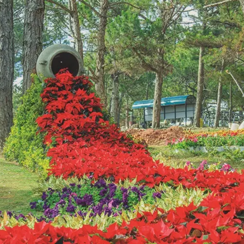 Những Ai Thường Đến Thung Lũng Tình Yêu Để Làm Gì?