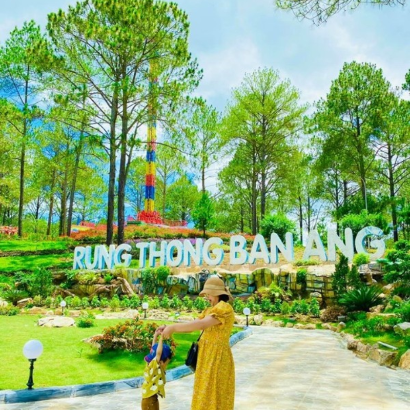 Những Ai Thường Đến Rừng Thông Bản Áng Để Làm Gì?