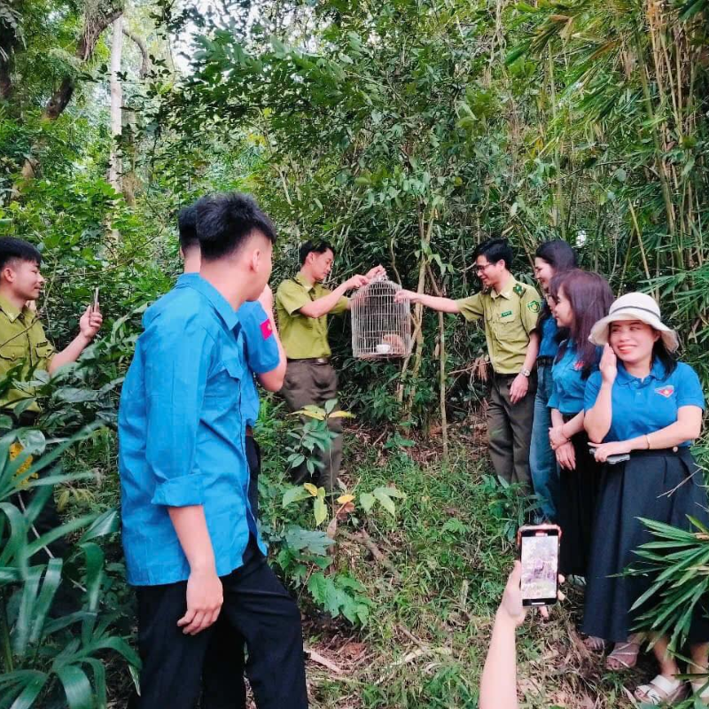 Những Ai Thường Đến Vườn Quốc Gia Bến En Để Làm Gì?