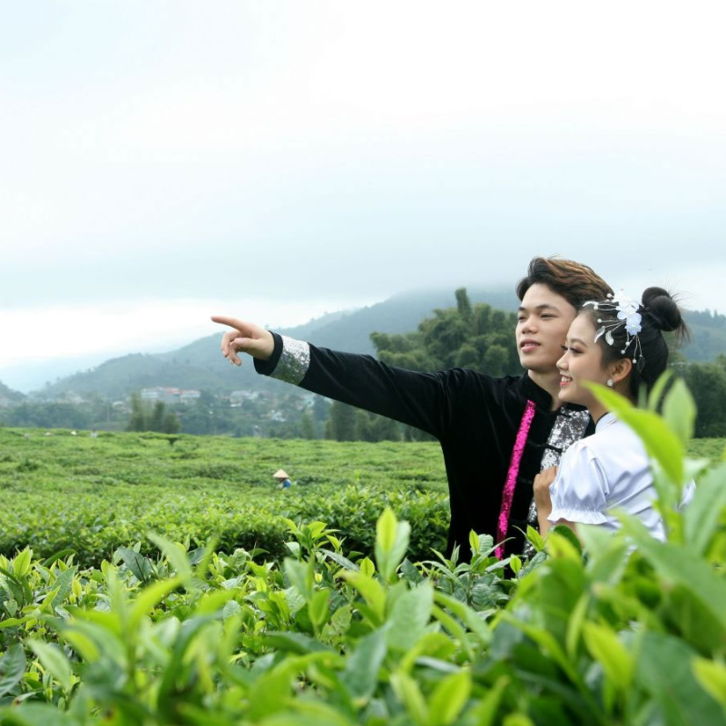 Những Ai Thường Đến Đồi chè Tân Uyên Và Mục Đích Của Họ?