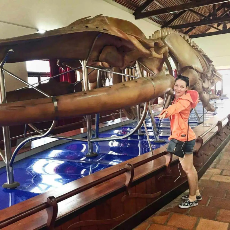 Những Ai Thường Đến Dinh Vạn Thủy Tú Để Làm Gì?