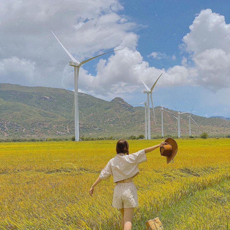 Những Ai Thường Đến Điện Gió Đầm Nại Để Làm Gì?