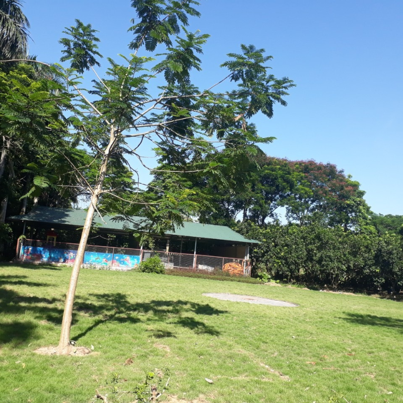 Những Ai Thường Đến Khu Sinh Thái Vườn Quả Từ Liêm Để Làm Gì?