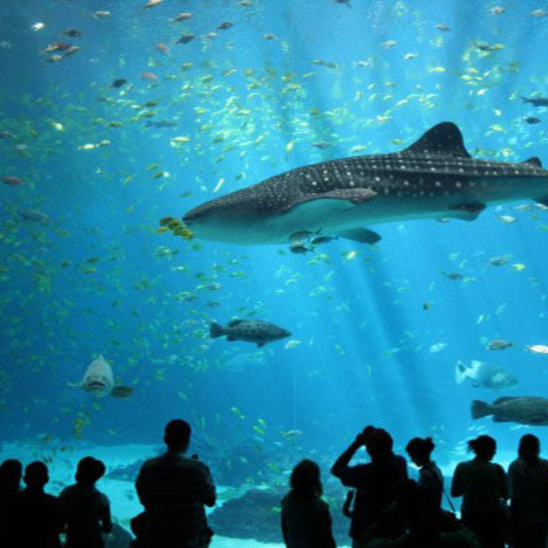 Viện Hải Dương Học Nha Trang