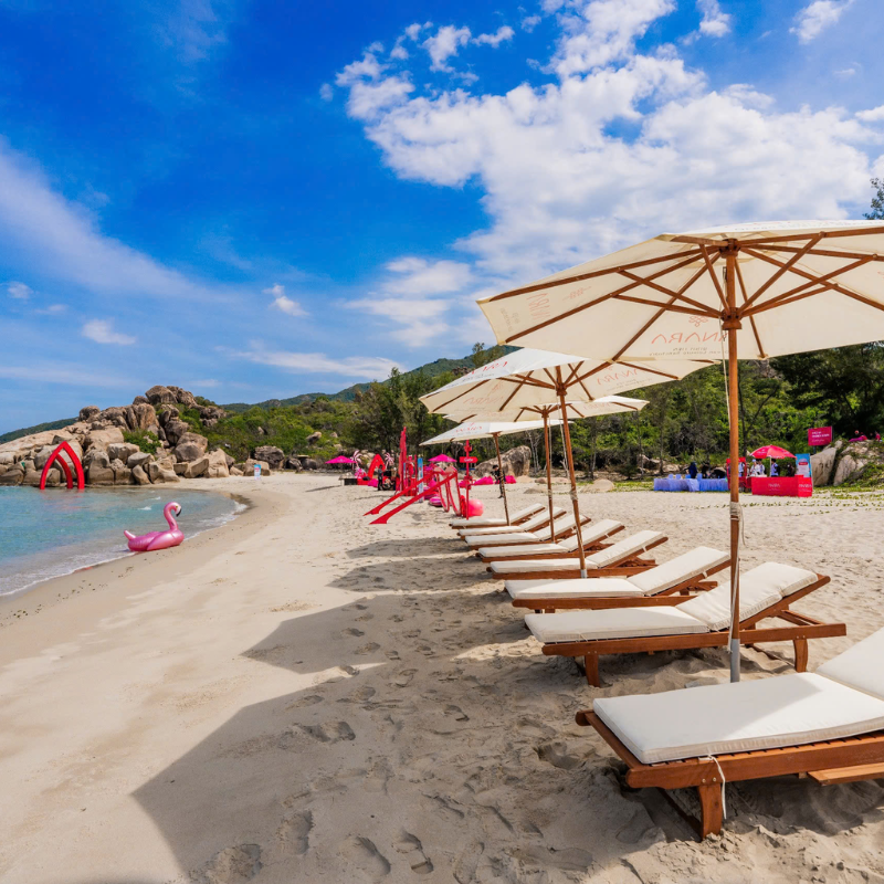 Những Ai Thường Đến Biển Bình Tiên Để Làm Gì?