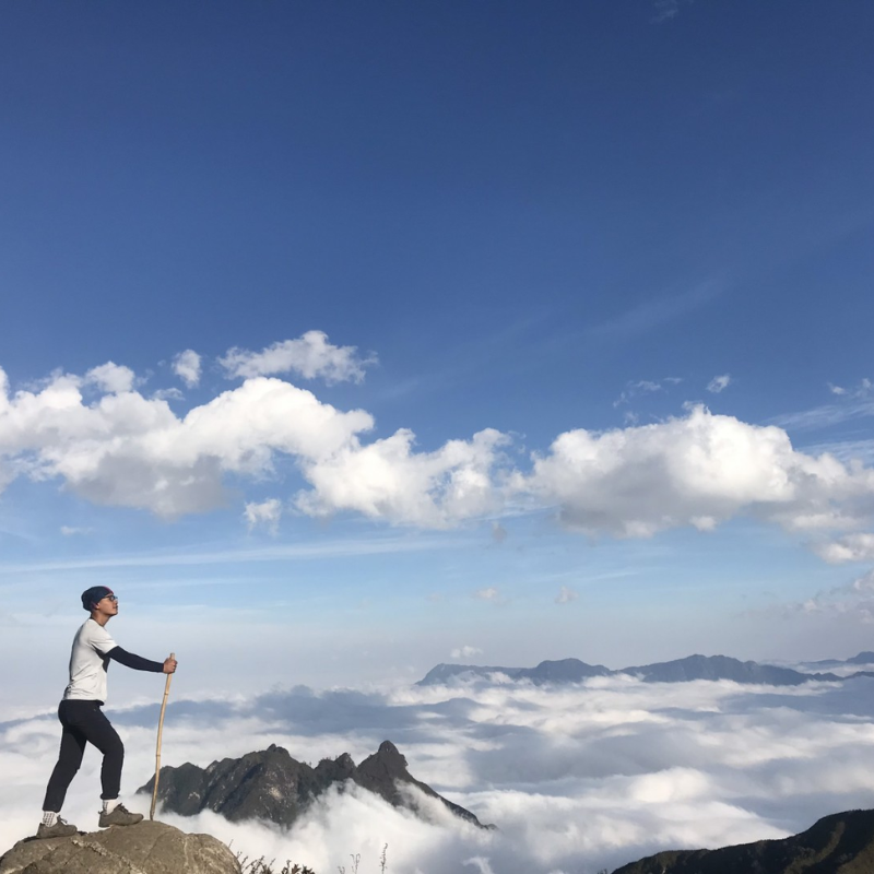 Những Ai Thường Đến Bạch Mộc Lương Tử Để Làm Gì?