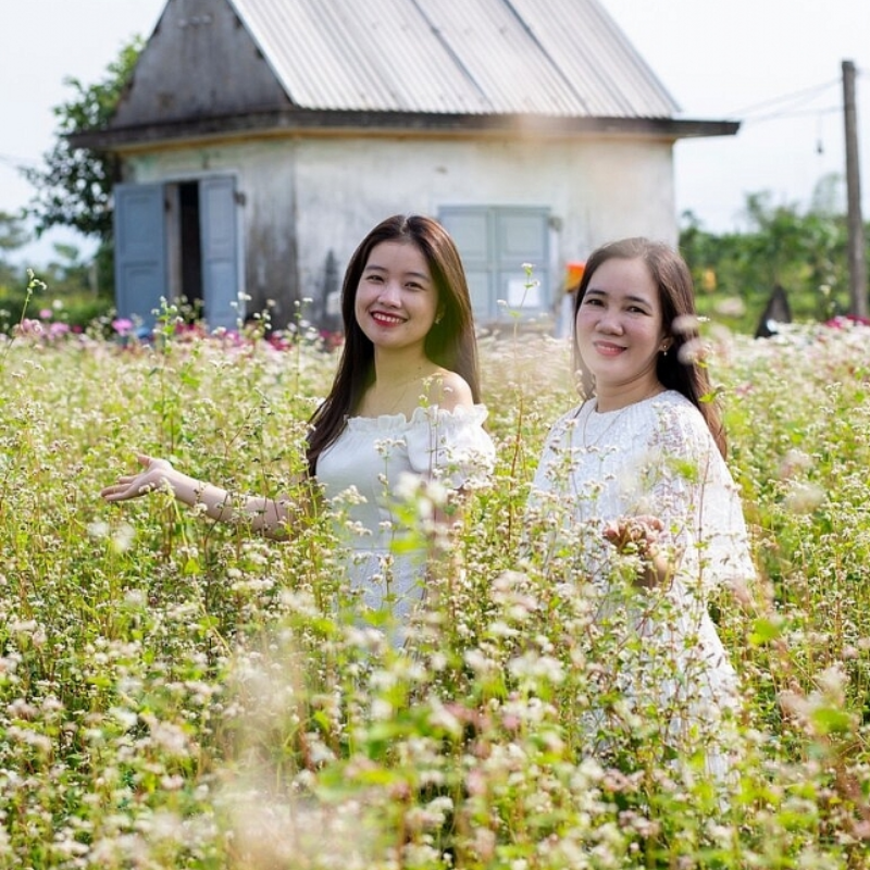 Những Ai Thường Đến Thành Phố Tam Kỳ Để Làm Gì?